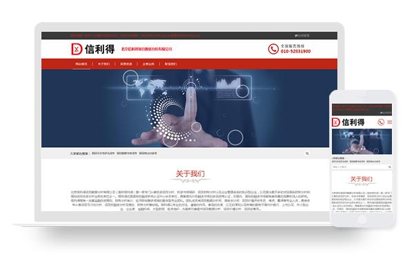 03_北京信利得項目數據分析有限公司